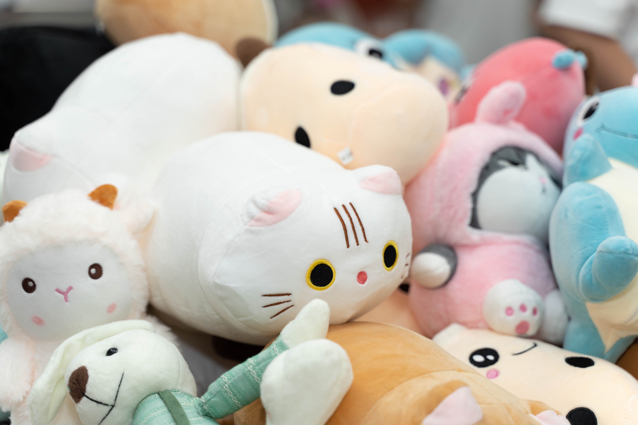 Sanctus International Entrepreneur's Day 2025